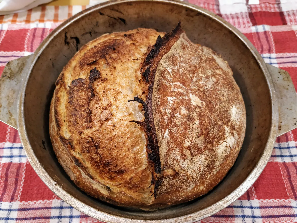 Centeno de pura Masa Madre